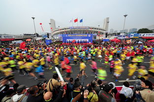 2014年度浙江省體壇評選請支持馬拉松運動