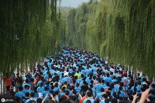 定了 今年杭州馬拉松7月中旬開始報名 全馬名額增加到1.8萬人