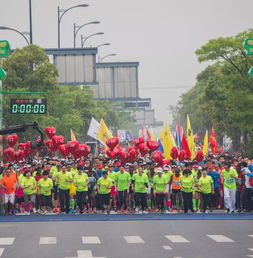 2020杭州馬拉松直通名額60個 絕美太湖,山圖水影,邀你共賞