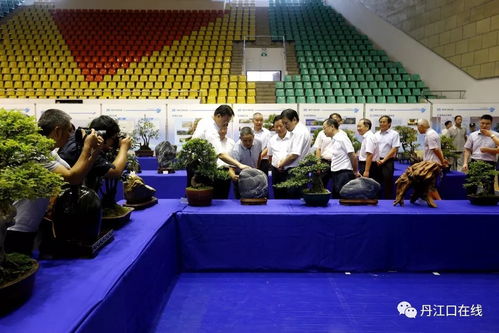 丹江口舉辦紀念丹江口工程開工60周年展覽