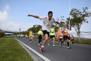 一條馬拉松之路 一部杭州灣鴻篇 2018寧波國際馬拉松 盛事將啟