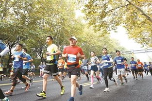 跑過風景跑過你 第32屆杭州馬拉松開跑