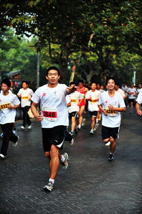 杭州國(guó)際馬拉松賽隨拍專輯 第2頁(yè) 南言心語(yǔ)