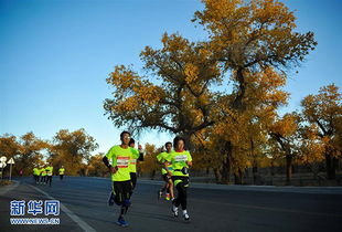 2016中國 額濟納穿越胡楊林半程馬拉松賽開賽