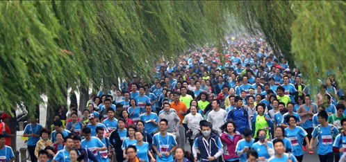 杭州馬拉松榮獲國際田聯銀標,全新杭馬即將起航