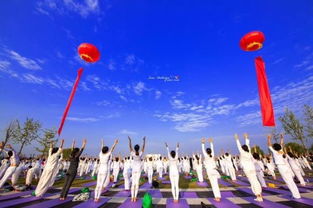 關(guān)于那次千人瑜伽露營節(jié),他們有話說