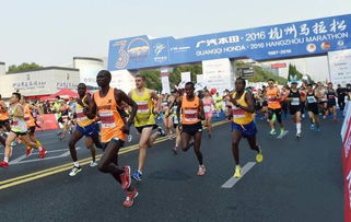 公司圓滿完成廣汽本田2016杭州馬拉松安保任務