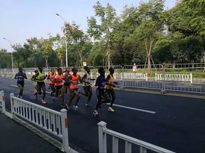 杭馬不專業 來杭州跑馬拉松,重點根本不在跑步