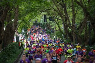 三馬 直通車 杭州馬拉松,南京馬拉松各50名直通名額 先到先得