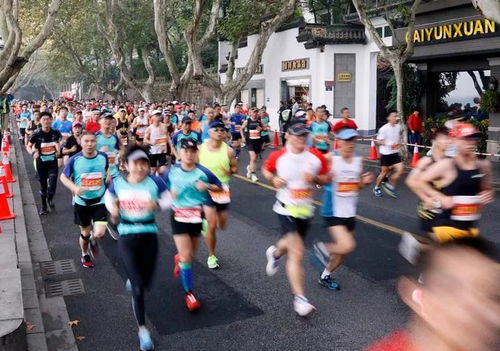 上馬報名開啟,全馬僅9000人,中簽幾率大大降低