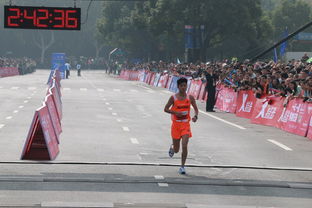 2014杭州國際馬拉松賽鳴槍 3萬選手參賽7286229