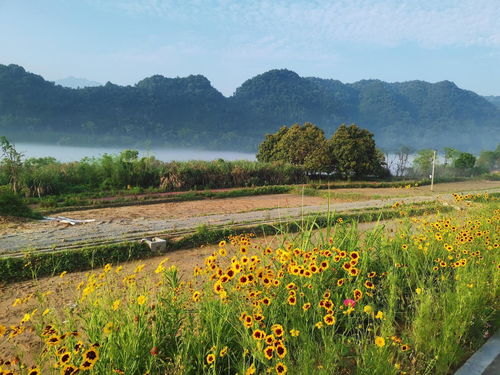高洪雷出席魯商樸宿 黃饒半島國際鄉村度假區 所在 精品旅宿 一期 開業暨二期項目簽約儀式