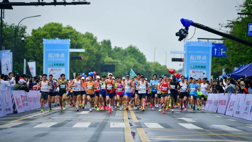 富春江集團 2024杭州富陽 富春山居半程馬拉松鳴槍開跑