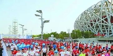 有人說不訓練也能跑完半馬,我翻了個白眼并甩給了他本文鏈接