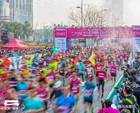 2019上海半馬4月21日開跑,或與揚馬撞期,盤點那些撞期的馬拉松
