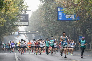 跑過風(fēng)景跑過你 2019杭州馬拉松鳴槍開跑 組圖
