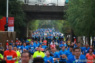 2019杭馬榮獲國際 雙金 賽事,2019沈陽馬拉松9月8號開跑