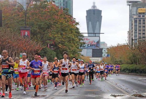 升級為1天半馬拉松賽，真愛粉杭州六星跑者為杭馬寫下2000字長文