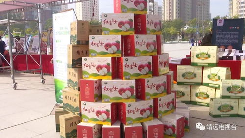 靖遠縣與杭州國際馬拉松 體育盛會與地方特產的完美融合