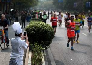 銀泰2014杭州國際馬拉松賽攝影大賽入圍獎作品 part3 文章列表 - 杭州馬拉松官方網(wǎng)站