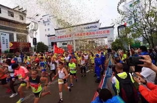 綠色飲品與公益同行 椰泰椰汁助力2016江西婺源及杭州國際馬拉松大賽